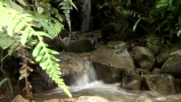 アンデス山脈の雨の後の小さな滝 — ストック動画