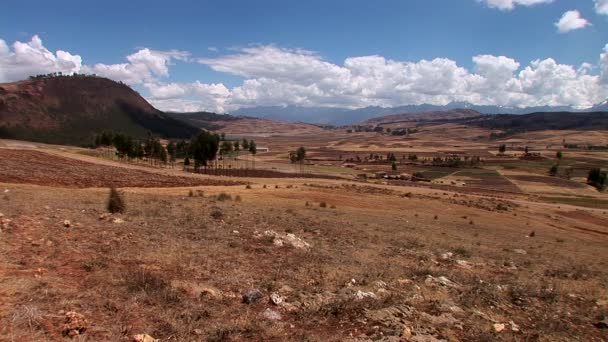 Vista de campos e árvores em Andes — Vídeo de Stock