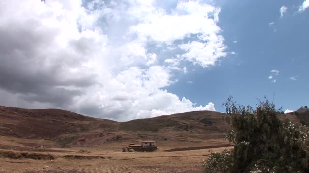 View of fields and trees in Andes — Stock Video