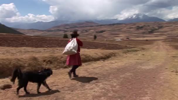 女人和一个袋子走在一个农场 — 图库视频影像
