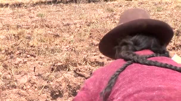 Agricultores recogiendo cosecha de patata — Vídeo de stock