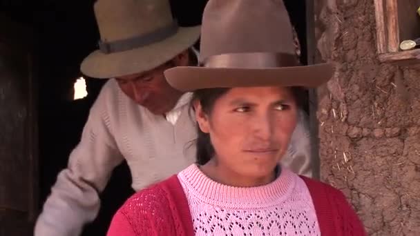 Agricultores en una granja en los Andes Vídeo De Stock