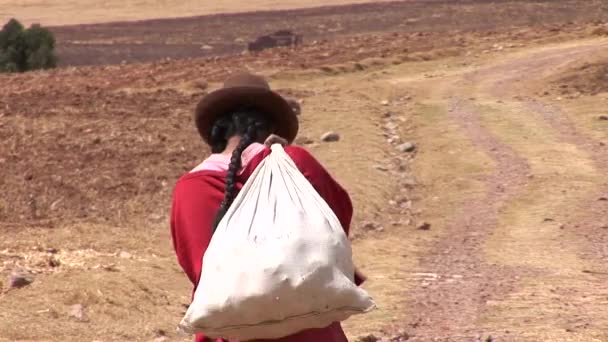 Mulher caminhando com um saco em uma fazenda — Vídeo de Stock