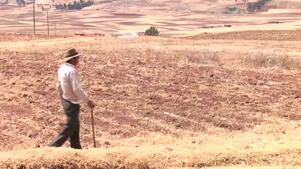 Agricultor en una granja en los Andes — Vídeo de stock