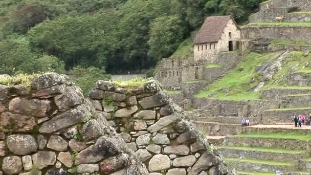 马丘比丘，秘鲁失落之城 — 图库视频影像