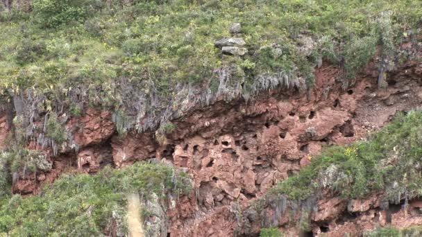 Руины инков в священной долине — стоковое видео