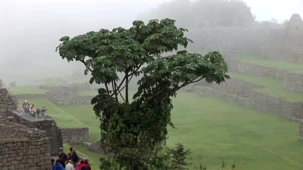 Turisti nella città perduta degli antichi Inca Machu Picchu — Video Stock