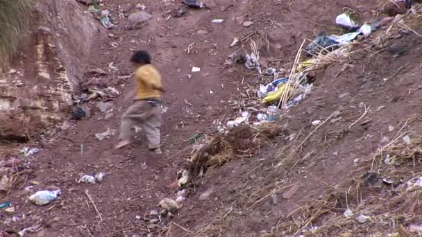 Enfant dans les bidonvilles de Cusco — Video
