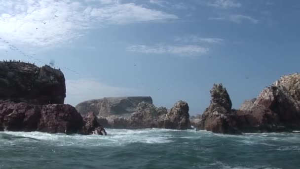 Ballestas νησιά κοντά στο Περού — Αρχείο Βίντεο