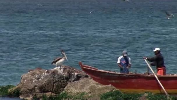 Vissers in de boot bij kleine baai in de Paracas — Stockvideo