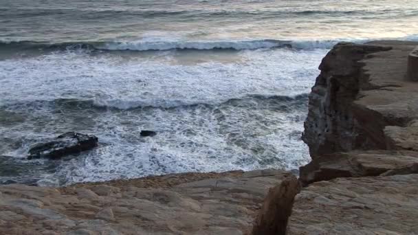 Parque Nacional de Paracas Reserva — Vídeo de Stock