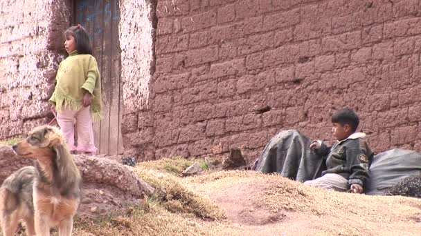 Two kids with a dog at poor district in Cusco — Stock Video