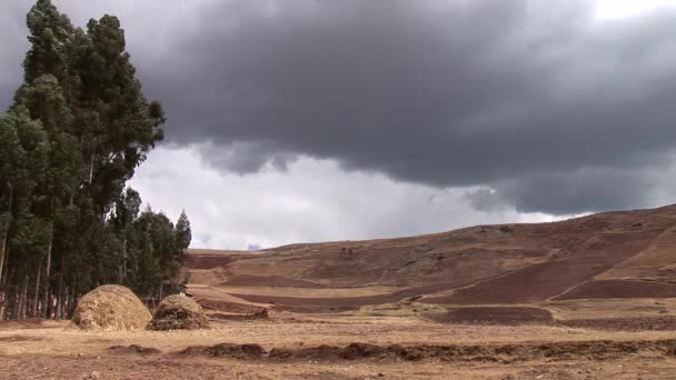 Вид на поля и деревья в Андах — стоковое видео