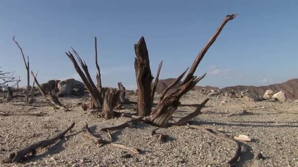 Peru'daki nazca Çölü — Stok video