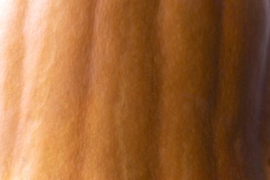 Turuncu kabak dokusu kapat