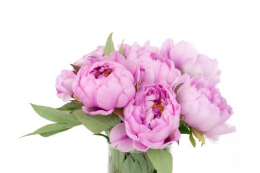 Cam bir vazoda pembe şakayık çiçekleri var. Beyaz arka planda yakın plan.