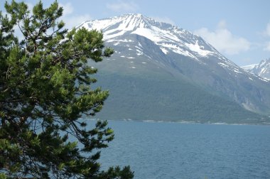 Norveç'te karla kaplı dağlar