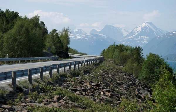 Straße in den Bergen Norwegens Stockbild