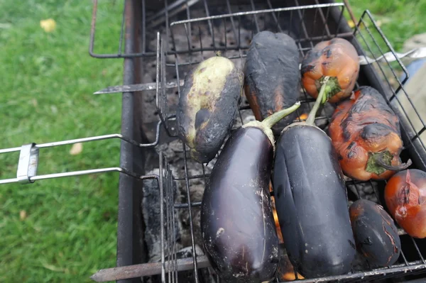 Cooking  vegetables  on  coals — Stock Photo, Image