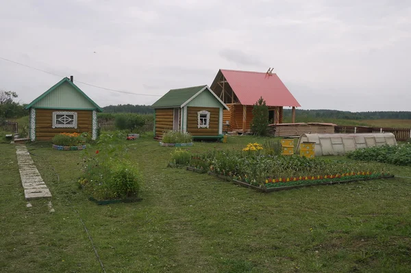 俄罗斯村庄的园林绿化场 — 图库照片