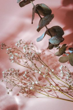 Pembe arka planda camdan yansımalar ve sert ışıkla dolu bir hayat.