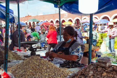 Makalelerin ve temel ihtiyaçların geleneksel 