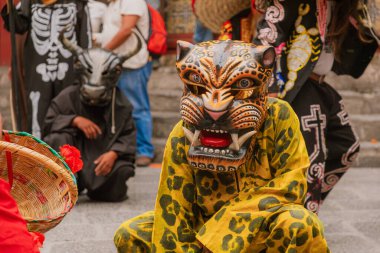 Maske ve kostüm giyen iki kişi, bir jaguar ve bir boğa, bir Meksika festivalinde halk dansında diz çöküyor..