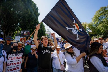 Puebla, Meksika; 11-15-25: Genç bir Z Nesli göstericisi, Puebla, Meksika 'daki bir yürüyüş sırasında protesto işareti olarak tek parça bayrak kaldırdı.