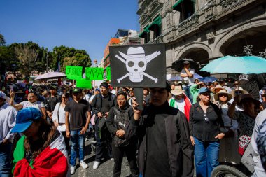 Puebla, Meksika; 11-15-25: Meksika 'nın Puebla kentindeki Palacio Belediye Binası önünde toplanan büyük çaplı protestocu kalabalığına geniş bir bakış açısı.