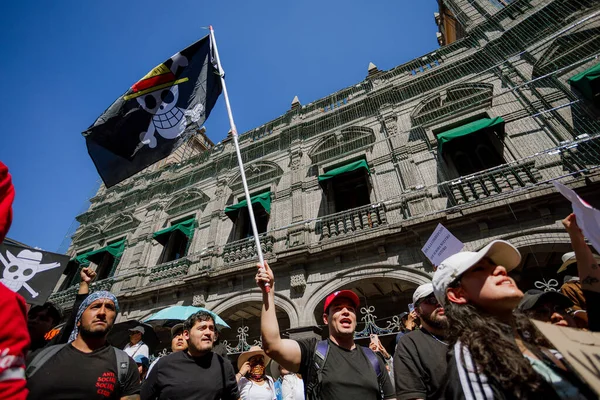 Puebla, Meksika; 11-15-25: Yüksek açılı panoramik manzara Zocalo ve Meksika 'nın ana meydanını dolduran binlerce protestocu.