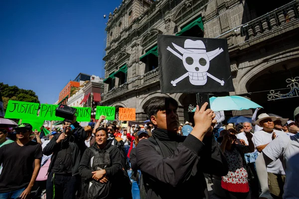 Puebla, Meksika; 11-15-25: Meksika 'nın Puebla kentindeki Palacio Belediye Binası önünde toplanan büyük çaplı protestocu kalabalığına geniş bir bakış açısı.