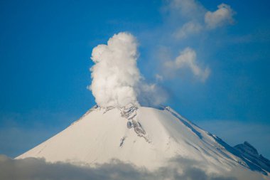 Meksika 'daki Popocatepetl yanardağının nefes kesici manzarası, açık mavi gökyüzü altında büyük bir duman bulutu yayan karla kaplı bir zirve..