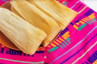 Beyaz arka planda geleneksel Meksika gastronomisi ve kültürel kutlamaları temsil eden renkli bir zanaatkar peçetesine birkaç tane tamale yerleştirildi..