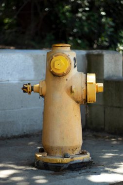 Sarı bir Amerikan yangın musluğu kaldırımda duruyor. Sokak. Ağaçlar arka plan.