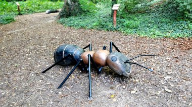 Znojmo parkındaki orman yolunda duran dev orman karıncalarının ahşap heykeli. Karıncaların arkasında yeşil sarmaşık yaprakları ve bazı bilgilendirici etiketler var. Yol, çocuklar için doğa yolunun bir parçasıdır..