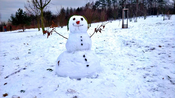 Beautifully Decorated Snowman Made Three Big Snowballs Carrot Nose Stones — Stock Photo, Image