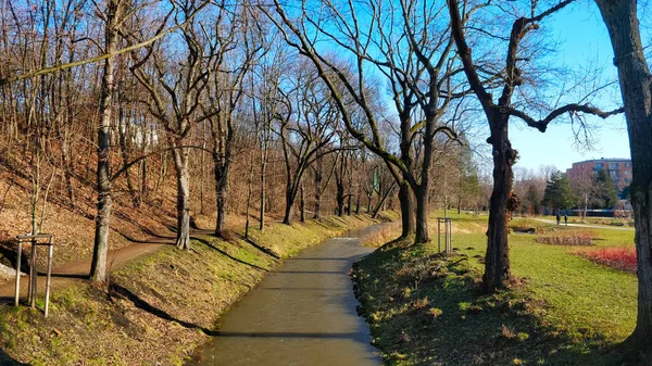 一条小河流过美丽的 保存完好的绿树成荫的公园 溪流的一边是一条狭窄的小路 另一边是一个有鲜花和住宅建筑的大草场 一月份的天气很好 — 图库照片