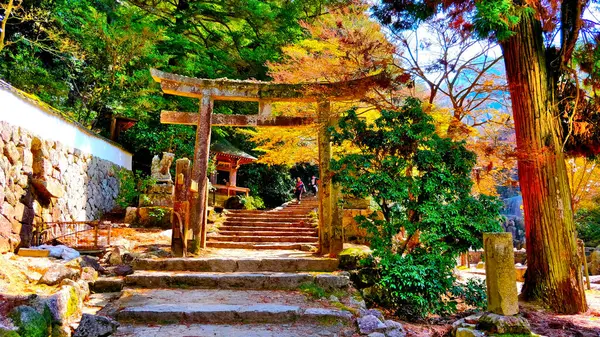 Old torii gate in the entrance into the mountain park. It\'s early spring and all the forest start to bloom. The entrance has many stairs.