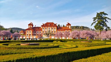 Güzel bir bahar günü bahçede görülen Troja şatosu. Resmin önünde çalılardan yapılmış labirent var ve binanın etrafında çiçek açan kiraz ağaçları var..