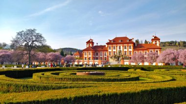 Güzel bir bahar günü bahçede görülen Troja şatosu. Resmin önünde çalılardan yapılmış labirent var ve binanın etrafında çiçek açan kiraz ağaçları var..