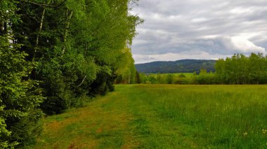 Bahar bulutlu havalarda Güney Bohemya 'nın doğasında orman ve çayır arasındaki sınır..
