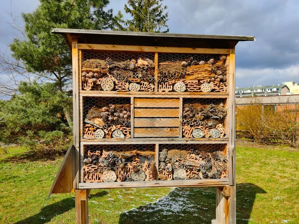 Hotel Insectos Madera Construido Para Ayudar Los Insectos Sobrevivir Las — Foto de Stock