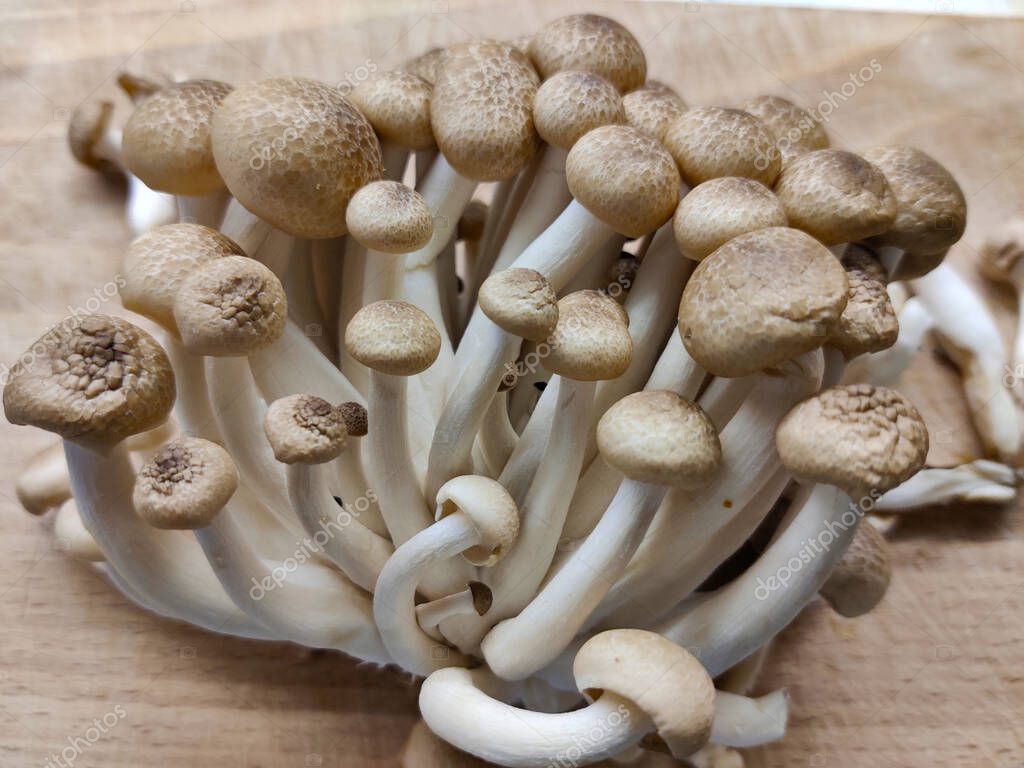 Detalle de champiñones de haya marrón (shimeji) sentados en una tabla