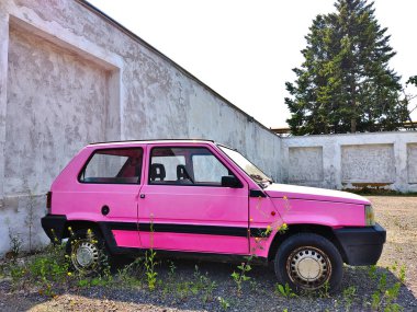 Beyaz duvarın yanına park edilmiş terk edilmiş pembe Fiat Panda. Arabanın uzun zamandır burada olduğu belli, çünkü otlarla kaplanmış..