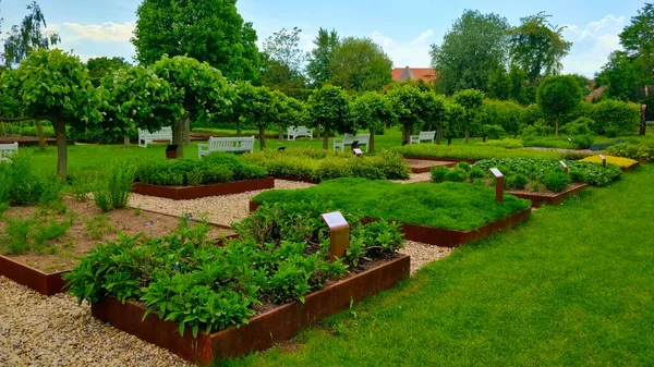 Tiny herb garden with many different kinds of herbs in the beautiful green park. There are tiny trees behind the garden. The weather is sunny.