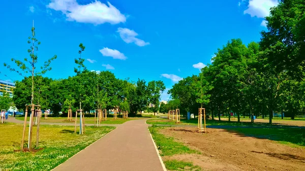 Taman Persahabatan Kuartal Praha Disebut Prosek Selama Cuaca Musim Panas — Stok Foto