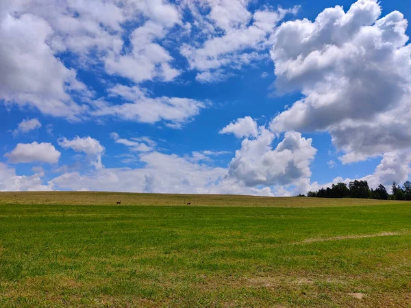 Zielone Użytki Zielone Południowych Czechach Kochankami Biegającymi Tle Chmurami Horyzoncie — Zdjęcie stockowe