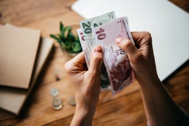 Türk Lirası faturaları