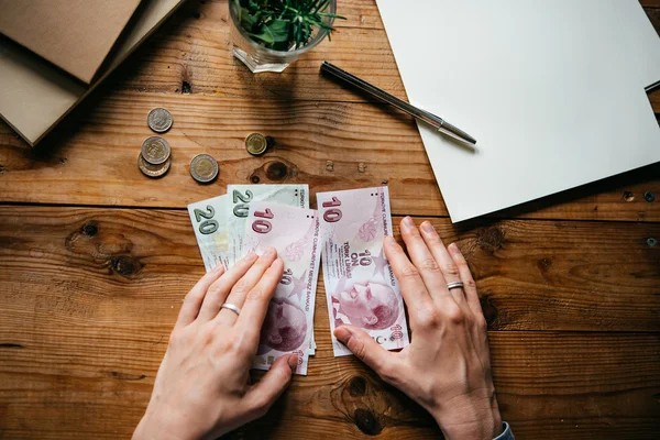 Türk Lirası faturaları