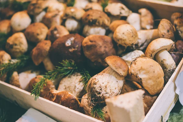 Porcini mushrooms on sale — Stock Photo, Image